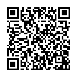 但是在国内却一直培养着自己的势力和发展心腹二维码生成