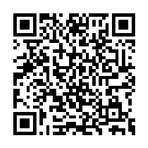 但是在孕育的时候仿佛是把智商都给了梁可意了二维码生成