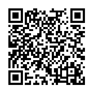 但是在怎么样也比不过跟着定王府好几代的老人啊二维码生成