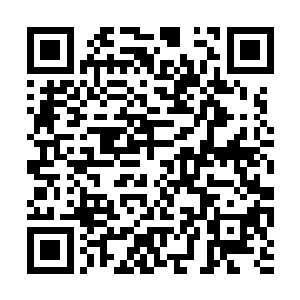 但是在整个龙域来说比他厉害比他地位高的人很多二维码生成