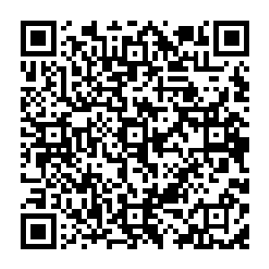 但是在海源城还向来没有人闲着没事干去养一头攻击性强大的生物为自己的伙伴的二维码生成