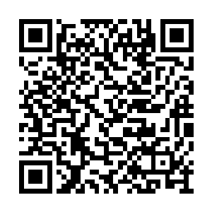 但是在血腥大帝走遍血色荒原的每一个角落之后二维码生成