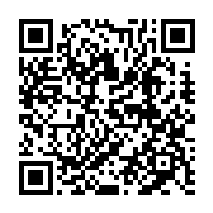 但是在这片土地上所有之前你所认知的规则都发生了改变二维码生成