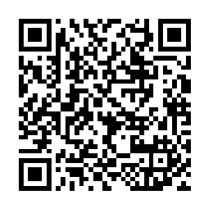 但是地下世界各大联盟的高手实力也绝对都不弱的二维码生成