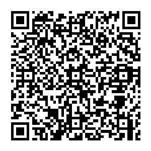 但是墨修尧怀里那同样的容貌俊美却已经隐隐可见几分傲然气势的黑衣孩子大多是人却都是知道的二维码生成