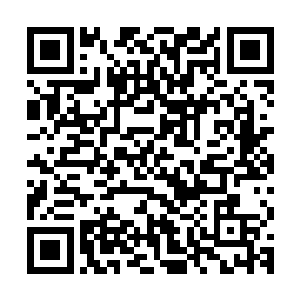 但是壁画上展现出了五色龙神哈特森赐予自己的子民不同的力量二维码生成