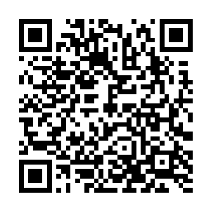 但是夏天现在居然在和血老怪他们这个等级的人战斗二维码生成