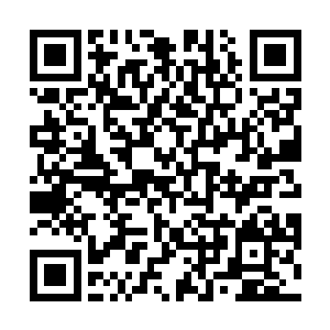 但是外面那四位皇级炼药师的脸色已经白的不能再白了二维码生成