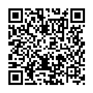 但是大家不能够总是往丁院长的小别墅那边跑吧二维码生成