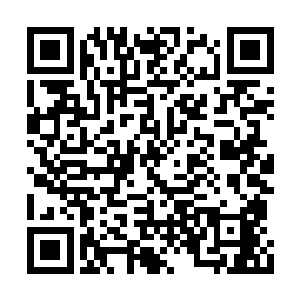 但是大家都兴高采烈的把一节节的莲藕搬上案来二维码生成