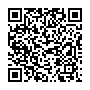 但是大部分的时候林烽都只是安安静静的一个人在河面上二维码生成