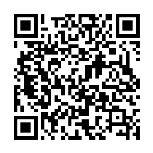 但是太白云生成了巨阳意志和霜玉孔雀斗争的关键二维码生成