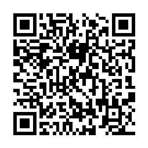 但是夹带着身后的内力却轻易的传遍了整个观景楼二维码生成