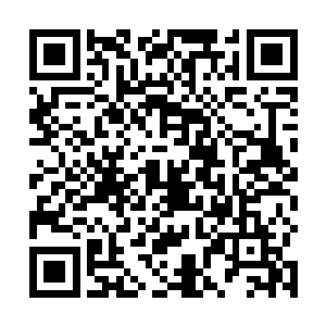 但是她发现丹田内的真气中竟然多了一丝丝绿色的能量二维码生成