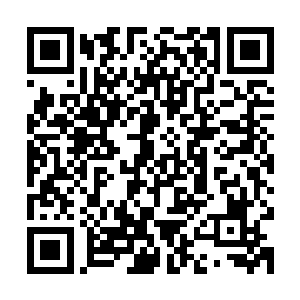 但是她将那些生命之气放在了紫烟星球之上的煞星之上作为引子二维码生成