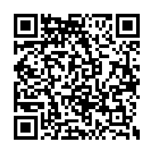 但是她是真真没想到自己会遇上海兽之外的物种二维码生成