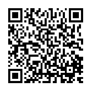 但是她看向琴瑟色那复杂的眼神和说这话的时候那明显依旧强硬二维码生成