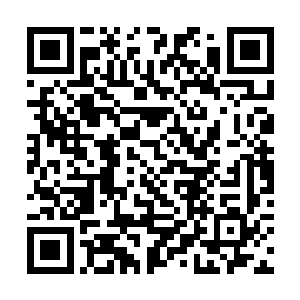 但是好像不是府上任何一个姑娘的异世农家最新章节二维码生成