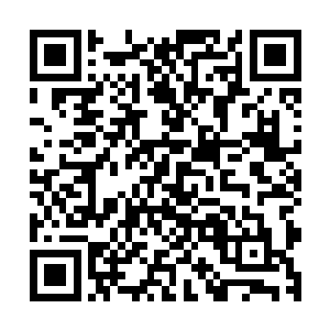 但是如今他们也都知道了许紫烟送给了他们巨人族遗失的传承二维码生成