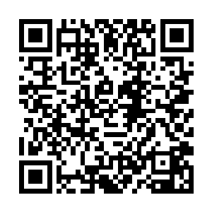 但是如果前去涂章狼青那里的信使都还没有回来的话二维码生成