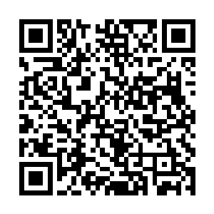 但是如果没有马文干脆利落地单挑杀了一头变异土狼二维码生成