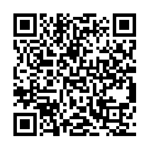 但是如果省委否决了尚权智推荐的人选而自行安排了人选来二维码生成