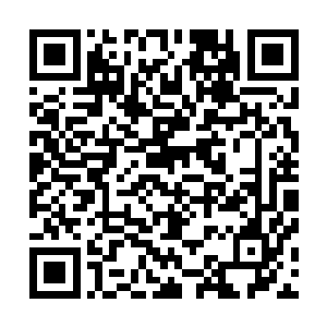 但是如果能够赶在席城将鬼葬之棺带入鬼域之中拦住他的话二维码生成