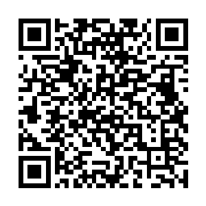 但是如果让你成长起来以后绝对会是我们的一大威胁二维码生成