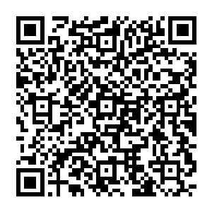 但是姣好美丽的容颜和纤细如玉的双手足以说明她原本应当是养尊处优娇生惯养的身份二维码生成