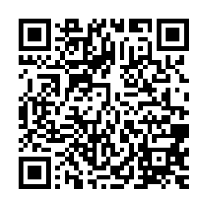 但是它却感觉到了一股幽凉的气息渐渐自那颗血珠里散发出来二维码生成