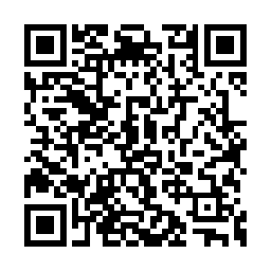 但是对于李二娃杂鱼的小子他却没有任何的顾忌二维码生成