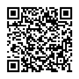 但是对于许紫烟和土依水来说好像过去了数十年二维码生成