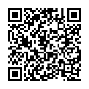 但是对于那些真正的天才四大家族还是很在意的二维码生成