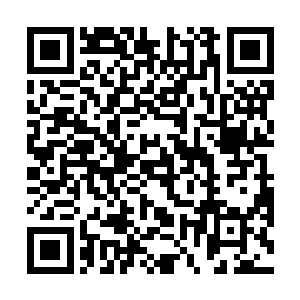 但是对外的理由依然还是黎王府小世子得了疾病夭折的二维码生成