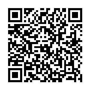 但是小蘑菇和俞致远两个人的感情比我想象的要好的多二维码生成