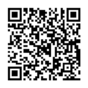 但是尝的话万一吃到什么小动物的排泄物・・・・・・二维码生成