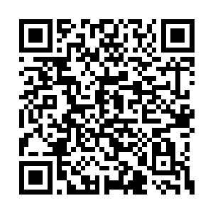 但是就连身为皇帝和主帅的墨景黎都没有说什么二维码生成