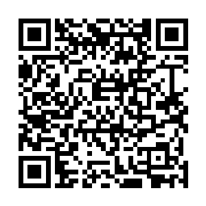 但是并不代表着王建国和大海两个人就一定需要去高攀她二维码生成