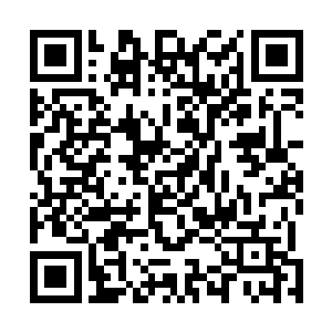 但是强大的精灵王还是在精灵铁卫的辅助之下把人类巫师二维码生成