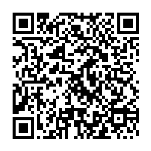 但是当他看到眼前不知道多少公里的广袤平原上都是各种各样的尸体二维码生成