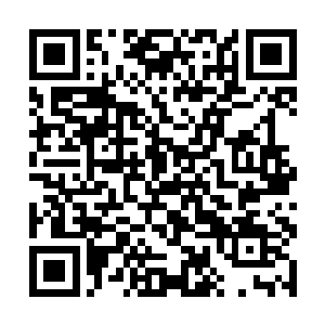 但是当其他几个修士也达到了圣级八层后期巅峰之后二维码生成