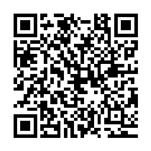 但是当初和秦方一起对付那个大宗师级巅峰的雇佣兵首领的时候二维码生成