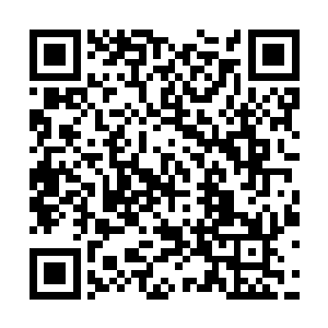 但是当看清楚他红色短袖t恤没遮掩的双手小手臂纹身二维码生成