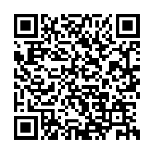 但是当金星的修为提升到圣级八层后期巅峰之后二维码生成