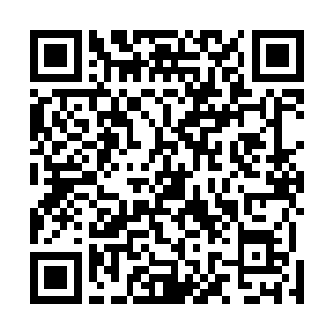 但是当马文展现出如此过人的杀戮技巧和身体素质的时候二维码生成