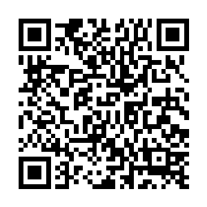 但是很快叛军指挥塔上的探照灯就被一颗高爆榴弹打灭了二维码生成