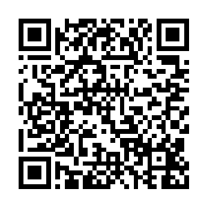 但是很显然丁羽还是确定了彼此之间的主导地位二维码生成