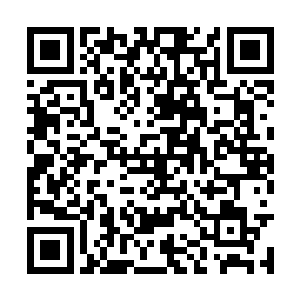 但是心神的消耗可不是一时半会儿能够恢复得了的二维码生成