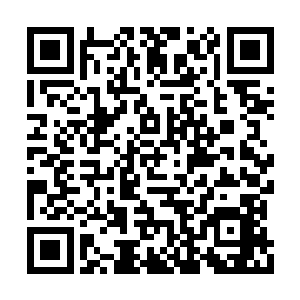 但是怎么样也在王世子那里怒刷了一把好感分啊二维码生成