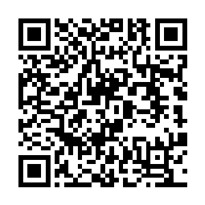 但是总是要给你一个登台显摆你黄金太子爷的机会啊二维码生成
